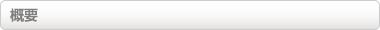 概要